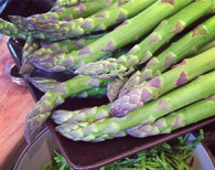 Asparagus