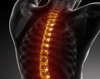 Back pain visual
